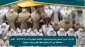 تحديث جديد لسعر جرام وسبائك الفضة اليوم الأحد 14-9-2025.. تغير ملحوظ في الأسواق وفق تقرير جولد بيليون